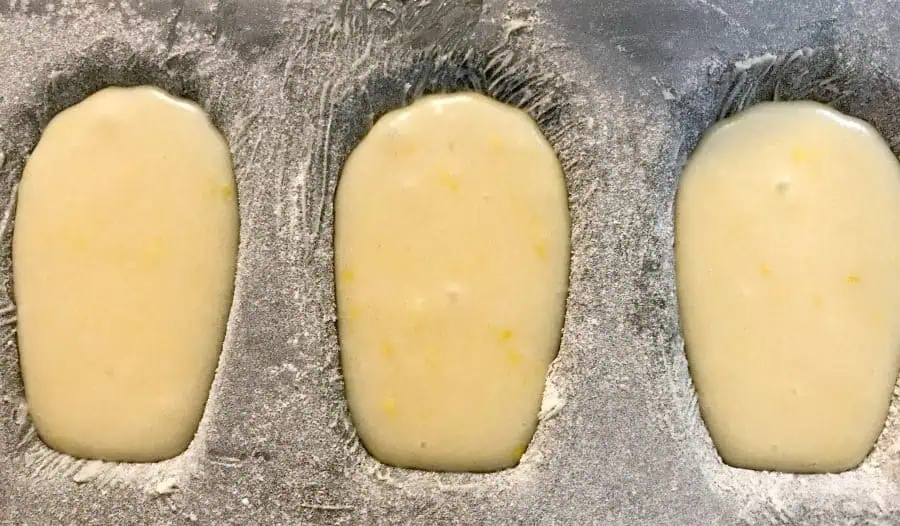 Learn how to make French Madeleines in this step by step baking photo tutorial! madeleine batter in the pan