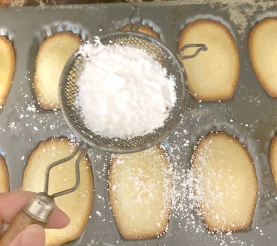 powdered sugar dusted over madeleine cookies
