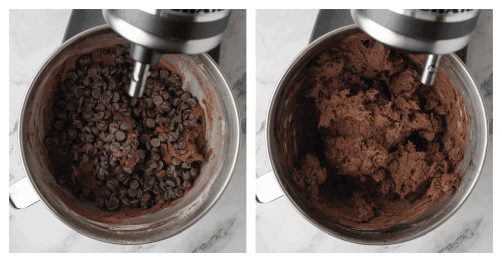 chocolate chips added to cookie dough