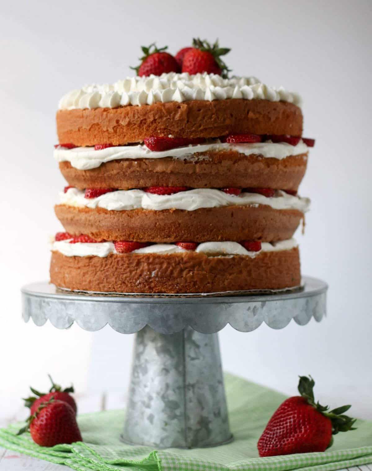 Cake Boss Challenge: Twitch Baking Competition - 45c0edx