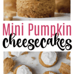 Mini Pumpkin Cheesecake Pin image