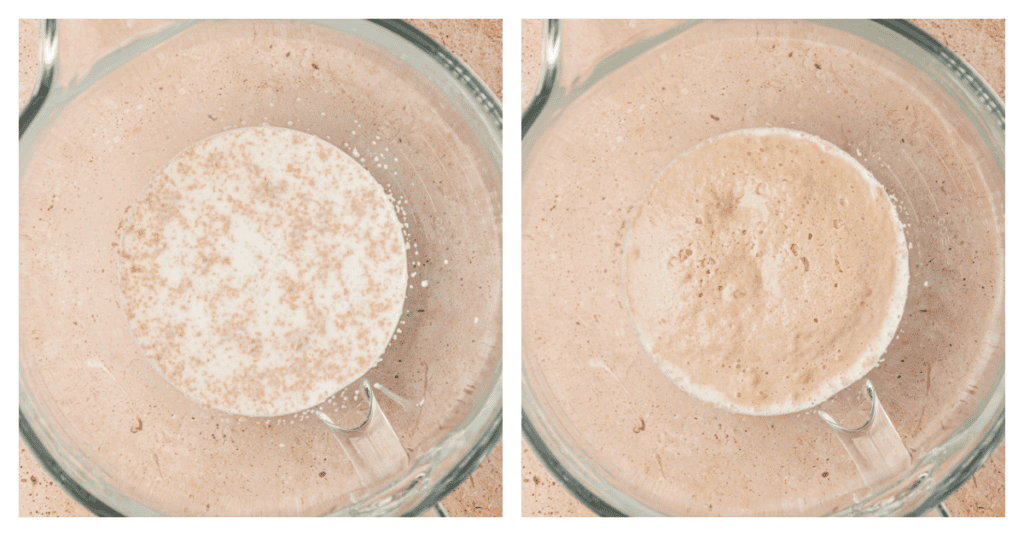 yeast proofed in milk in a bowl