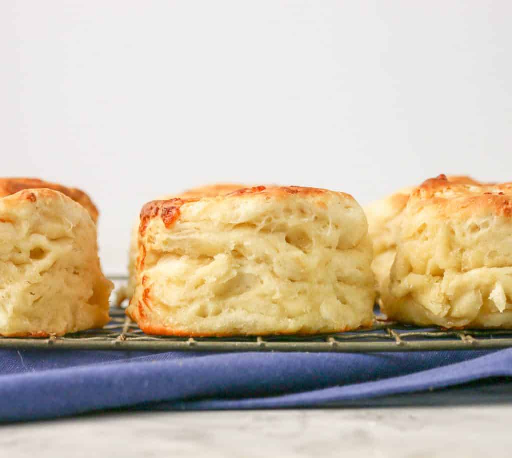 Can you use self rising flour instead of baking powder Self Rising Biscuits Boston Girl Bakes