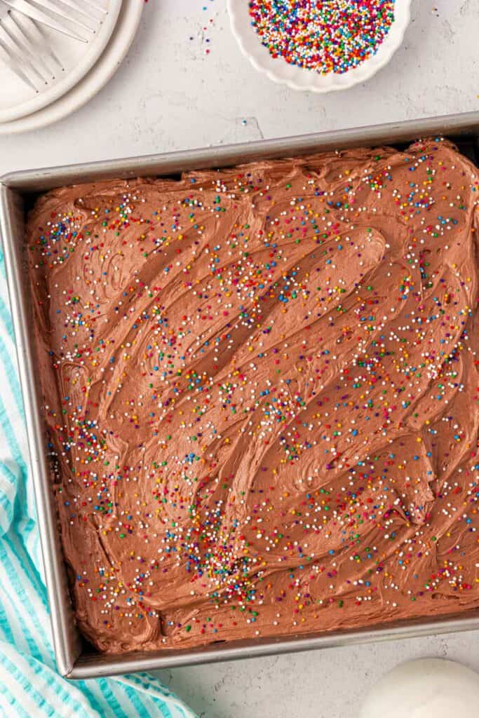 wacky cake frosted with chocolate frosting and sprinkles