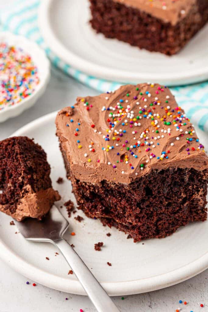wacky cake on a plate