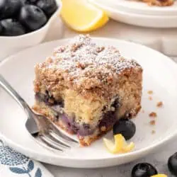 blueberry crumb cake slice on a plate