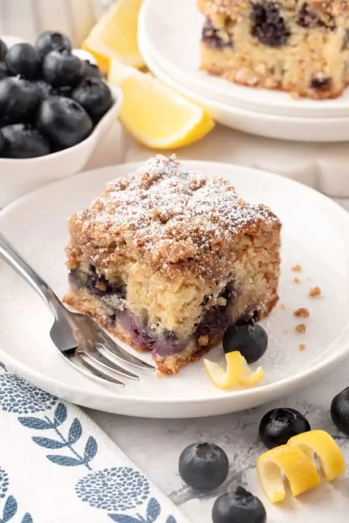blueberry crumb cake slice on a plate