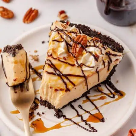 slice of turtle pie on a plate