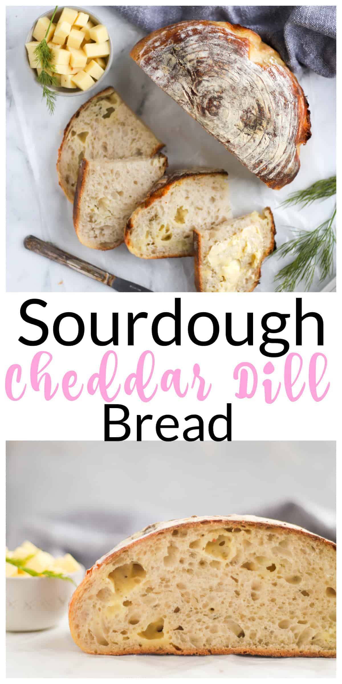 Sourdough Cheddar Dill Bread Boston Girl Bakes