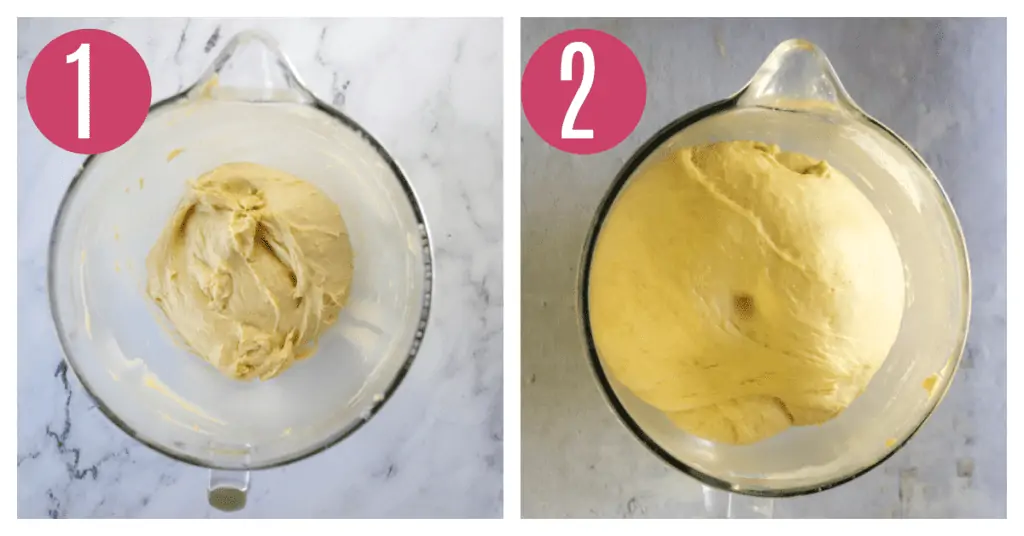 babka dough before and after rising