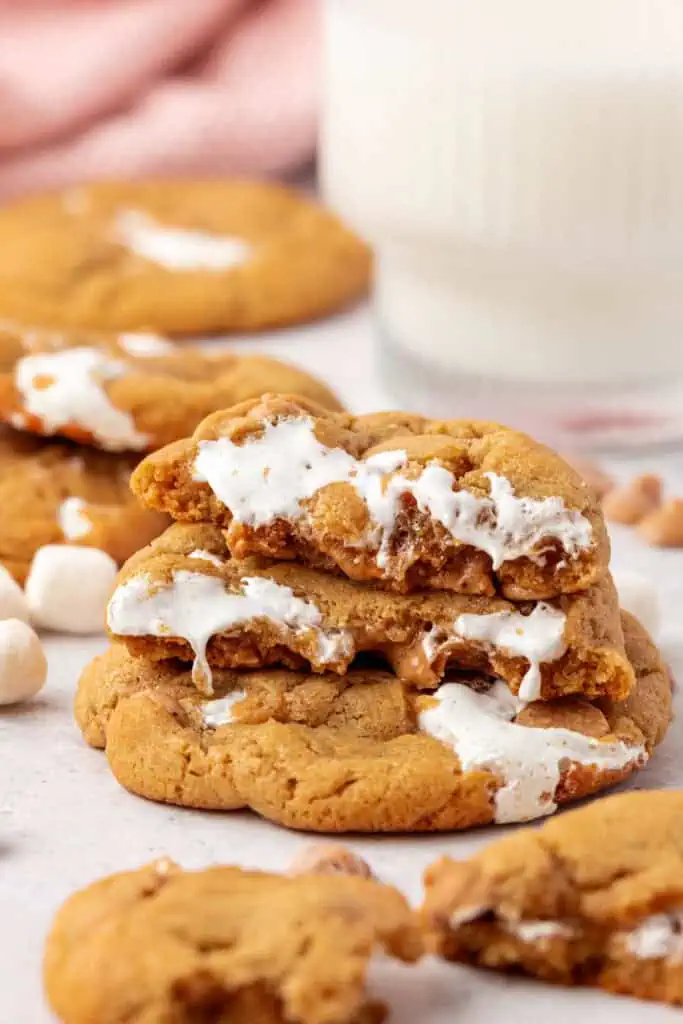 fluffernutter cookie broken in two and sitting on another cookie