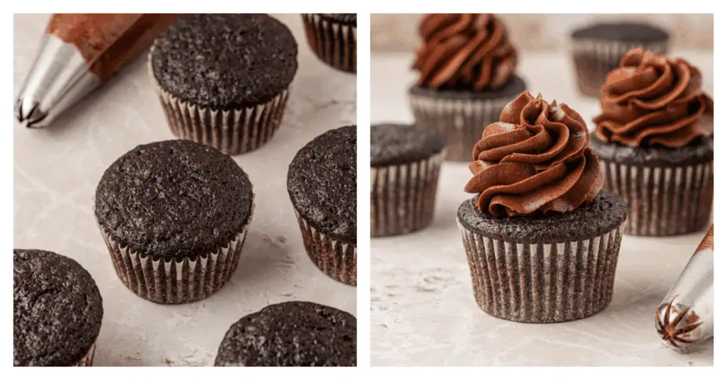 plain chocolate cupcakes topped with chocolate buttercream frosting
