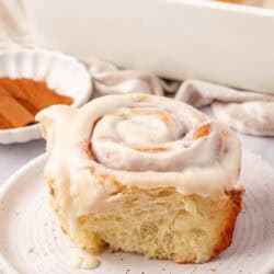 cinnamon roll on a plate