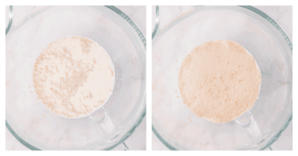 yeast proofing in milk