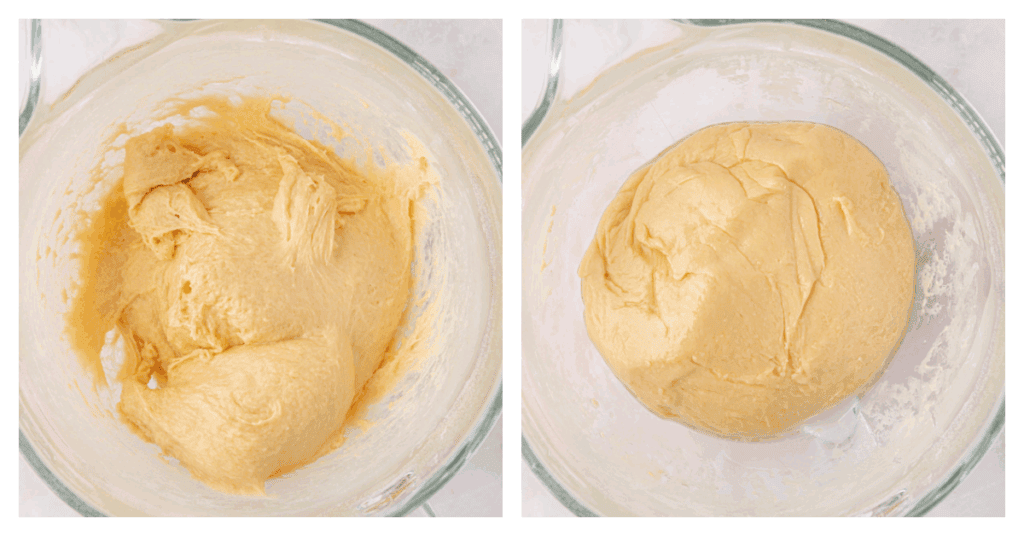 dough kneaded into bowl