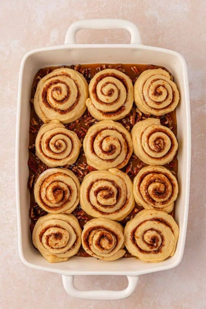 rolls placed in the pan