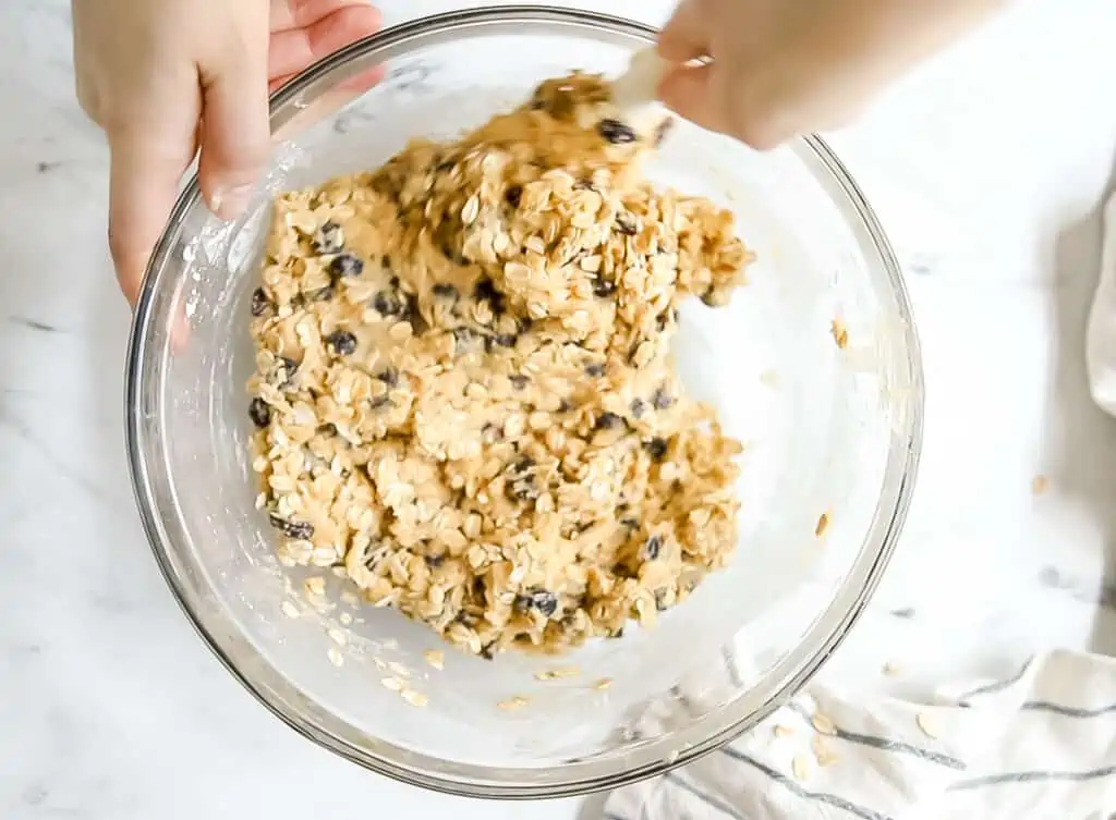 oats and raisins added to cookie dough mixture