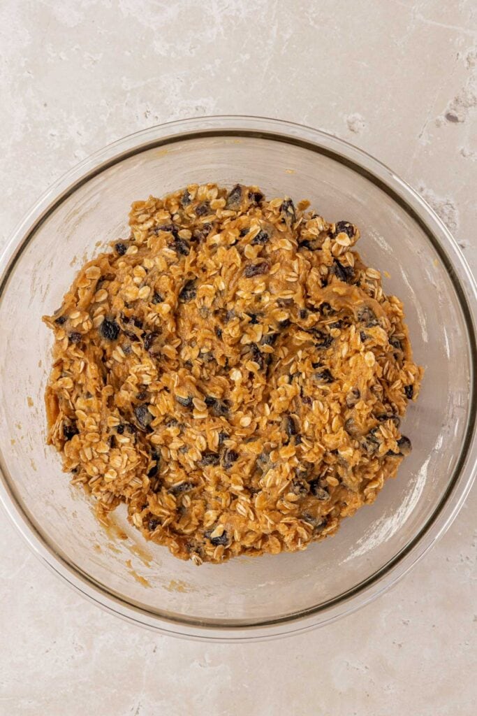 oats and raisins added to oatmeal cookie dough
