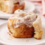 cinnamon roll on a plate