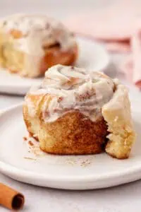 cinnamon roll on a plate