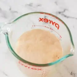 activated yeast in a cup