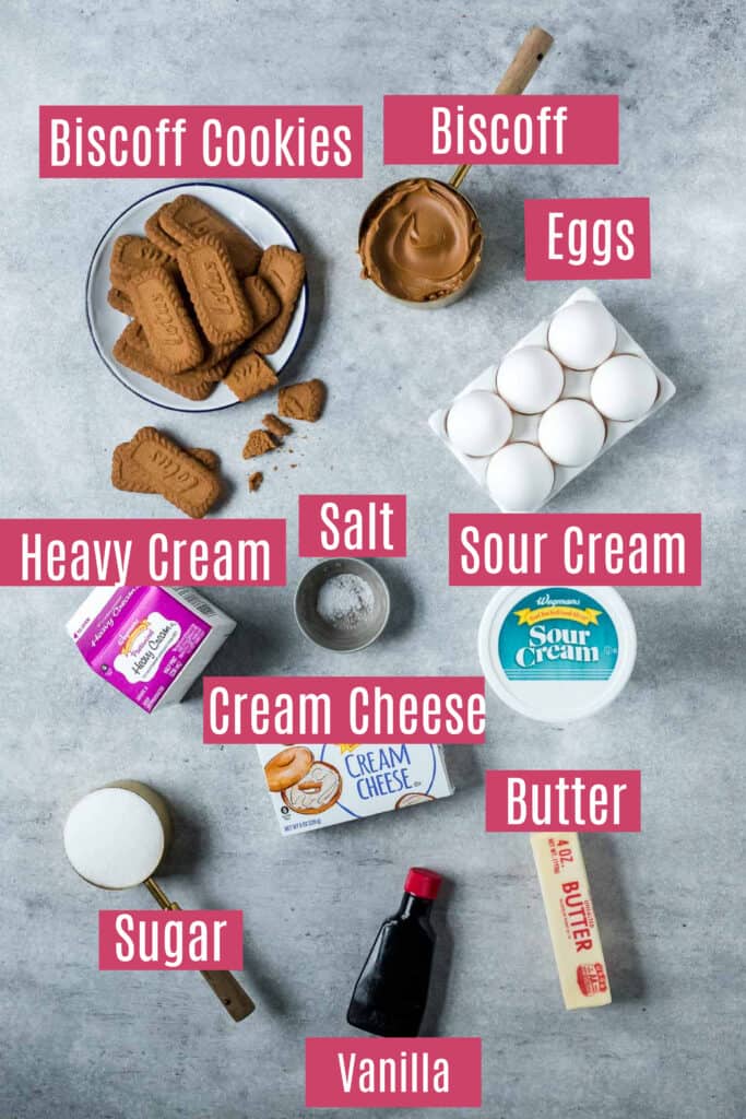 ingredients for Biscoff cheesecake