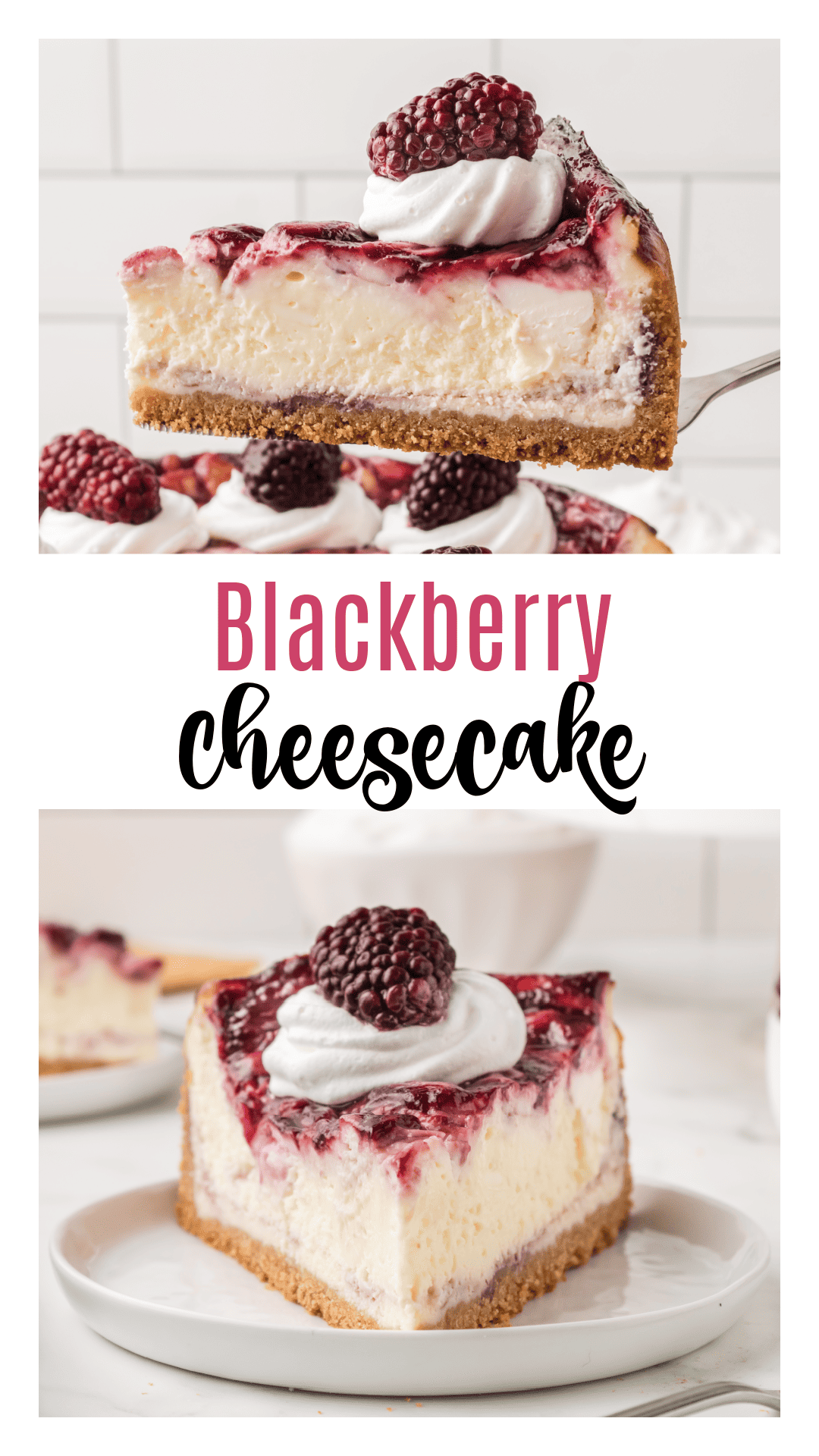 Blackberry Cheesecake - Boston Girl Bakes