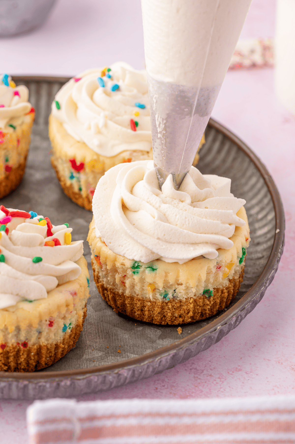 piping bag piping whipped cream on mini funfetti cheesecake