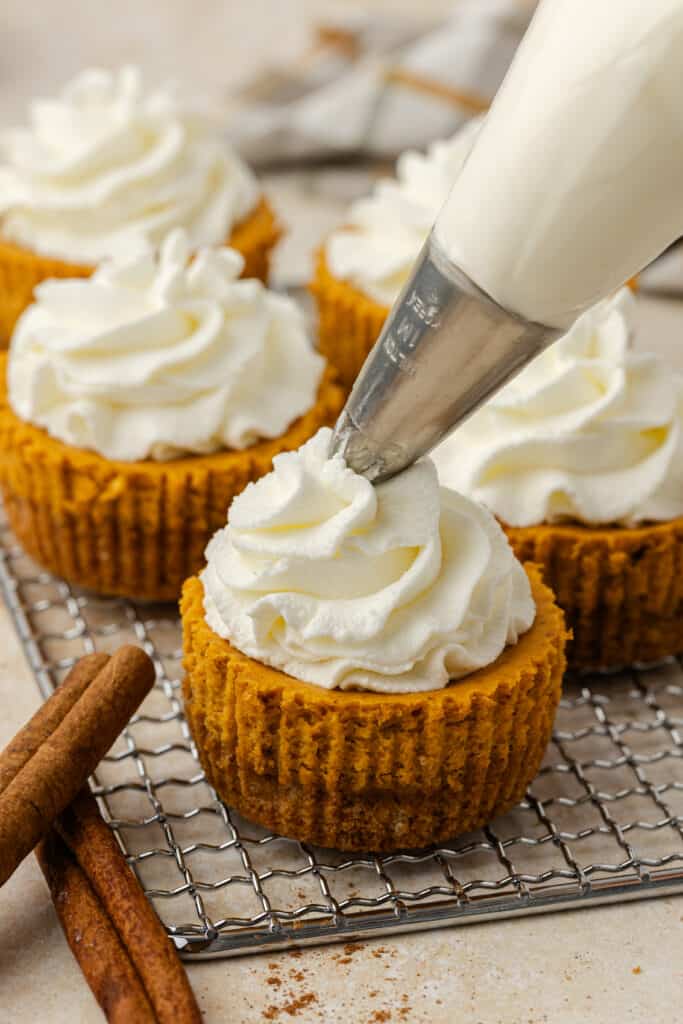 whipped cream being piped on top of a mini pumpkin cheesecake