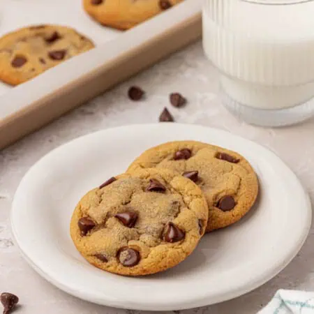 two small batch chocolate chip cookies on a plate