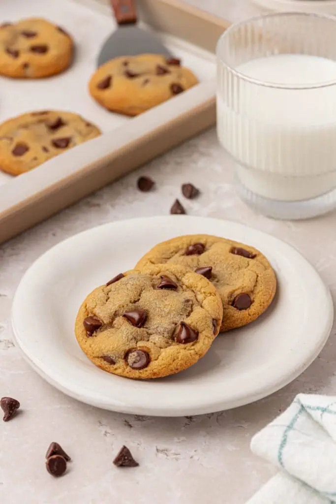 two small batch chocolate chip cookies on a plate