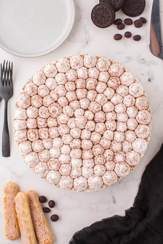 tiramisu cheesecake topped with piped whipped cream and dusted with cocoa powder
