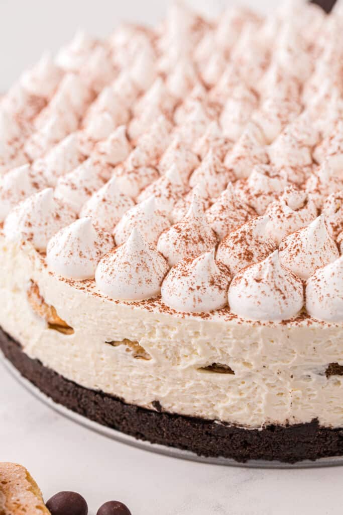 whole Tiramisu cheesecake
