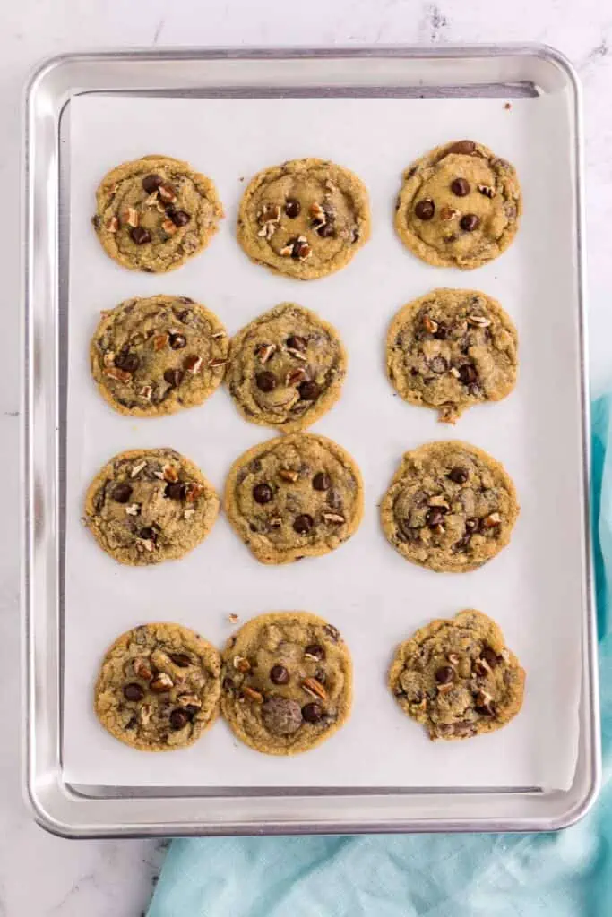 dozen baked chocolate chip pecan cookies on a baking sheet