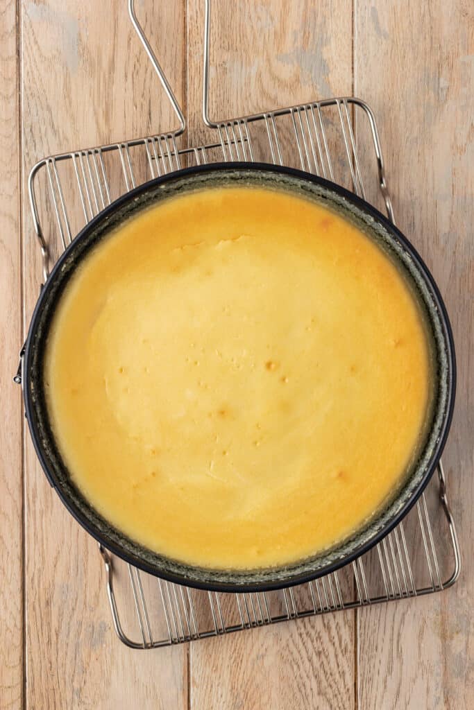 baked vanilla cheesecake on a cooling rack
