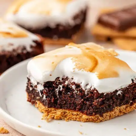 smores brownie with a bite taken out of it