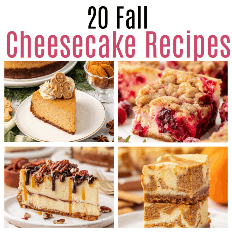 20 Fall Cheesecake Recipes