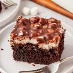 slice of mississippi mud cake on a plate