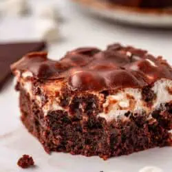 brownie with a bite missing