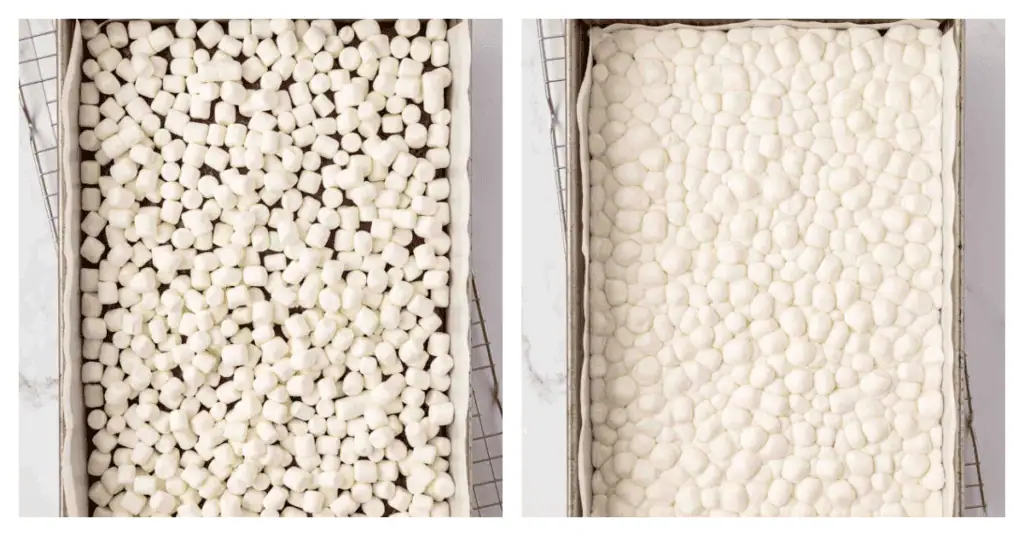 brownies topped with marshmallows