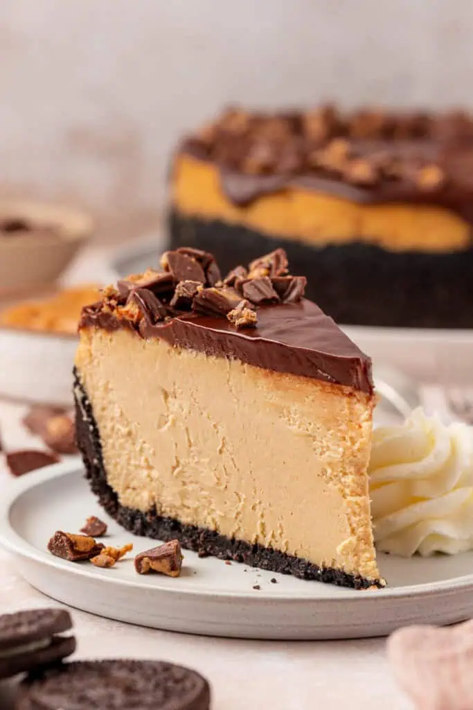 slice of peanut butter cheesecake on a plate