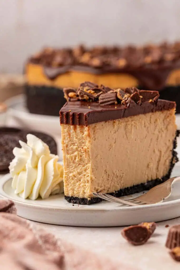 peanut butter cheesecake slice with a bite missing