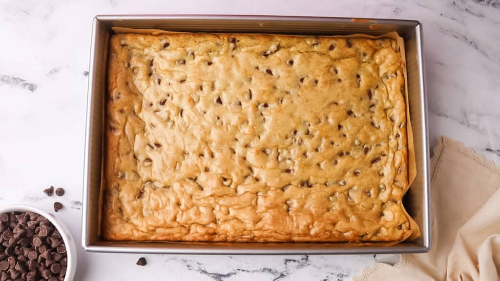 baked cookie bars in a pan