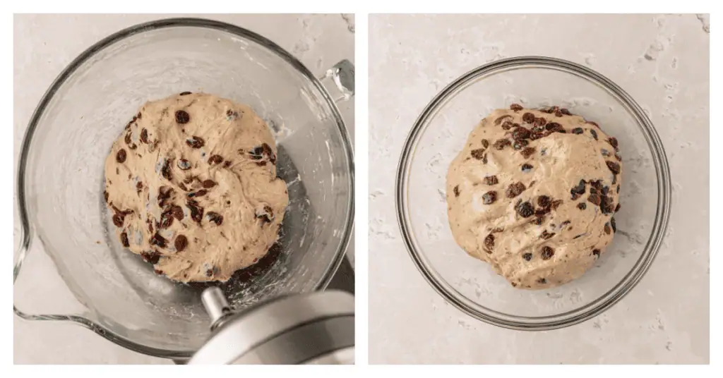 dough kneaded and placed in a bowl