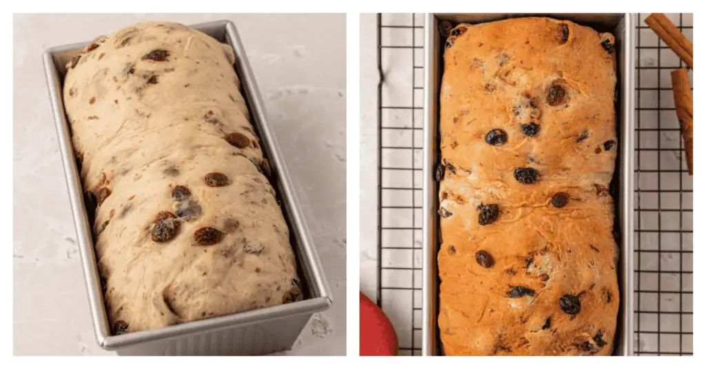 baked loaf of cinnamon raisin bread in a loaf pan