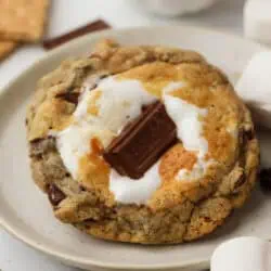 brown butter smores cookie on a plate
