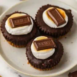 three brownie smores bites on a plate