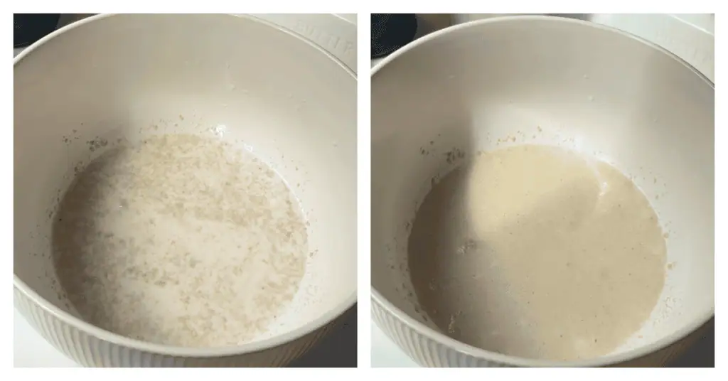 yeast proofing in a bowl
